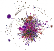 A social network from Twitter