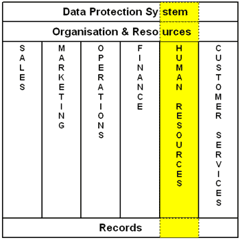 Fig 2.2: Functional or Vertical Audit