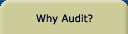 Why Audit?
