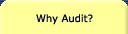 Why Audit?